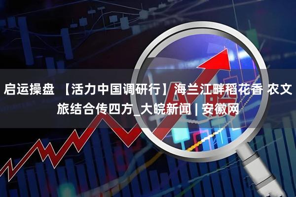 启运操盘 【活力中国调研行】海兰江畔稻花香 农文旅结合传四方_大皖新闻 | 安徽网