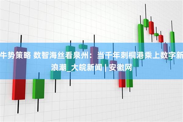牛势策略 数智海丝看泉州：当千年刺桐港乘上数字新浪潮_大皖新闻 | 安徽网